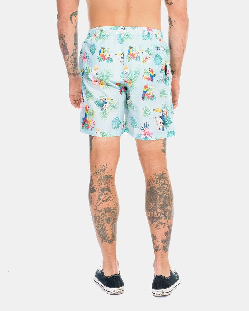 Paradise Parrots Swim Shorts