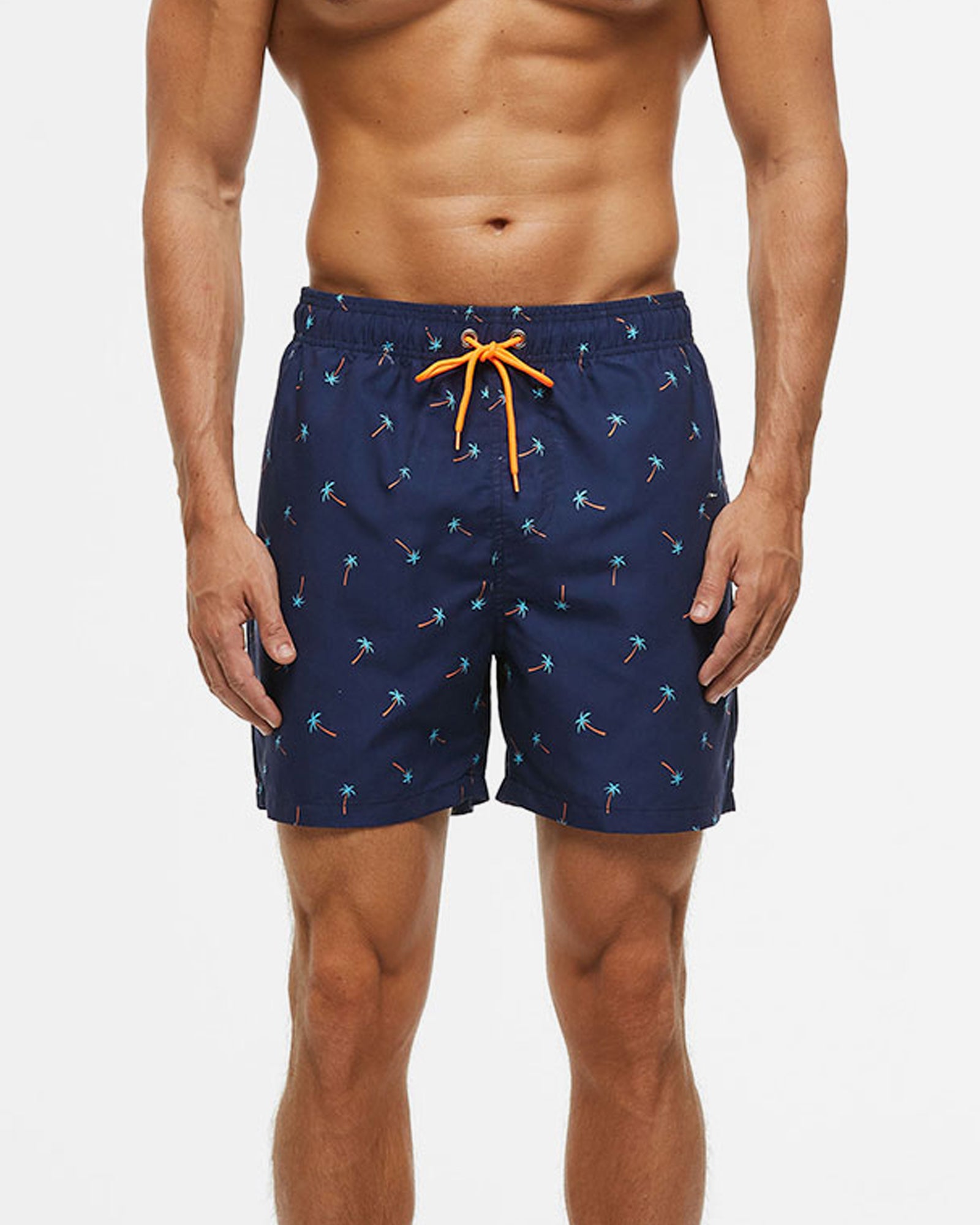 Palms Swim Short