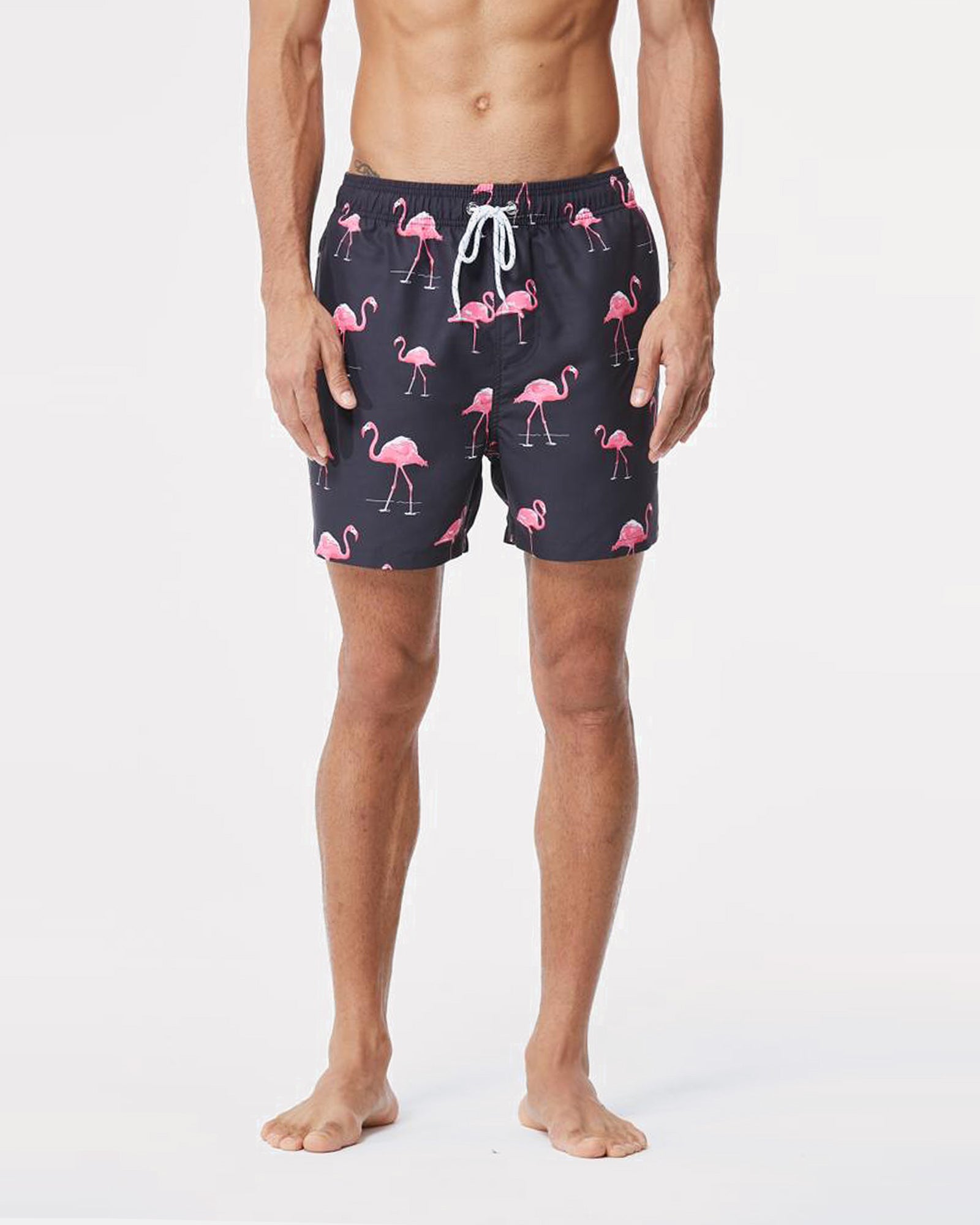 Greater Flamingo Swim Short