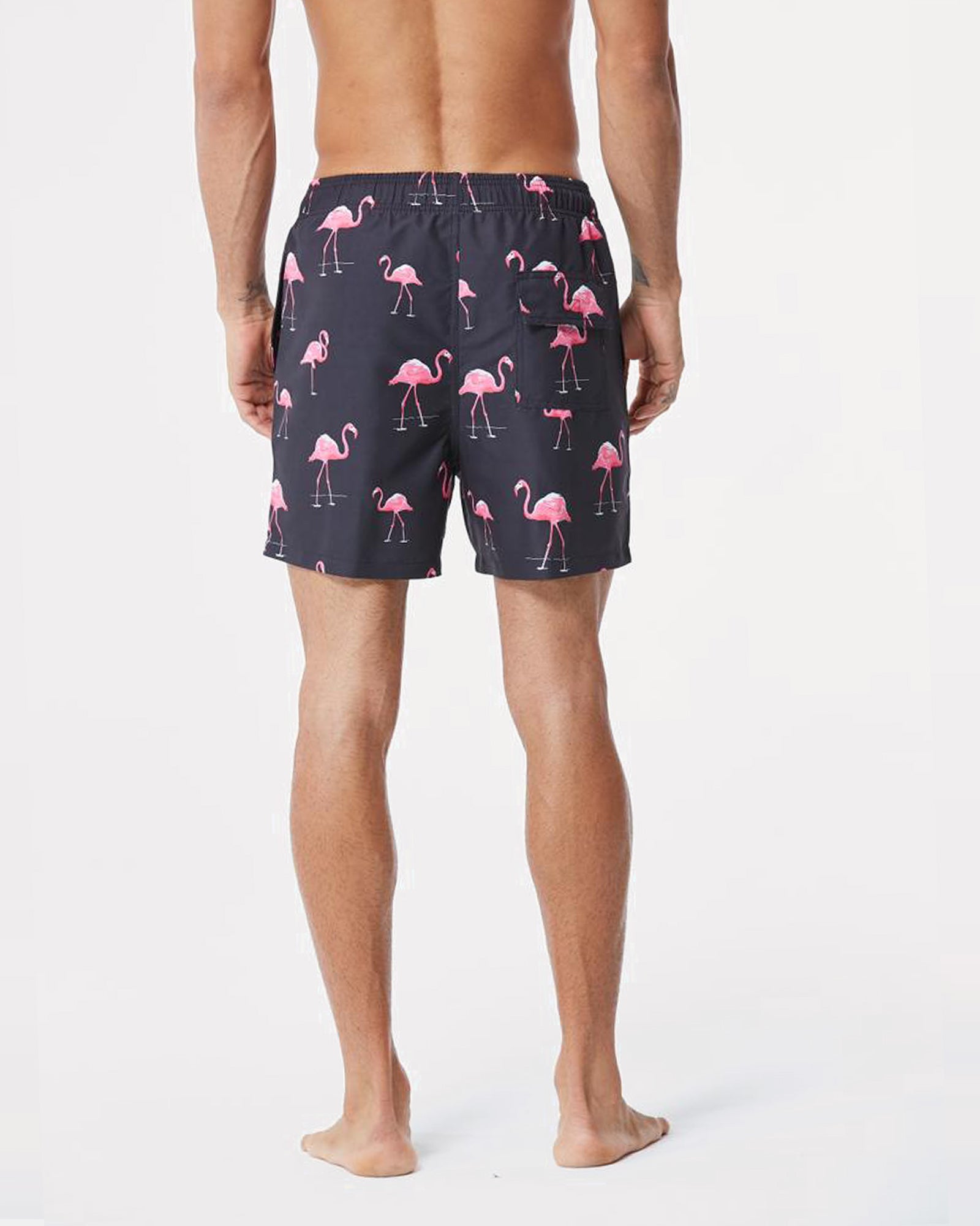 Greater Flamingo Swim Short