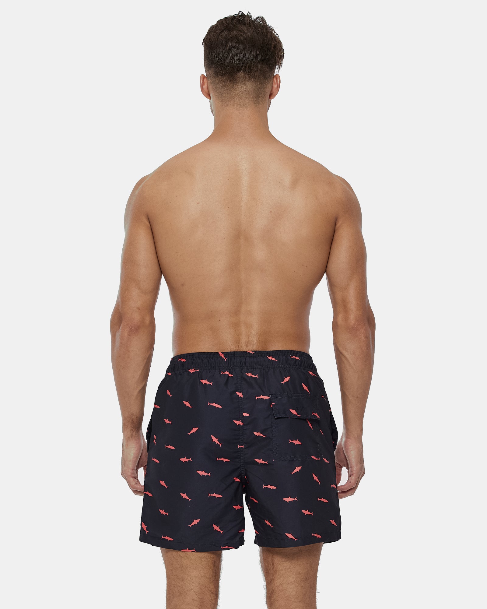 Shark Swim Short