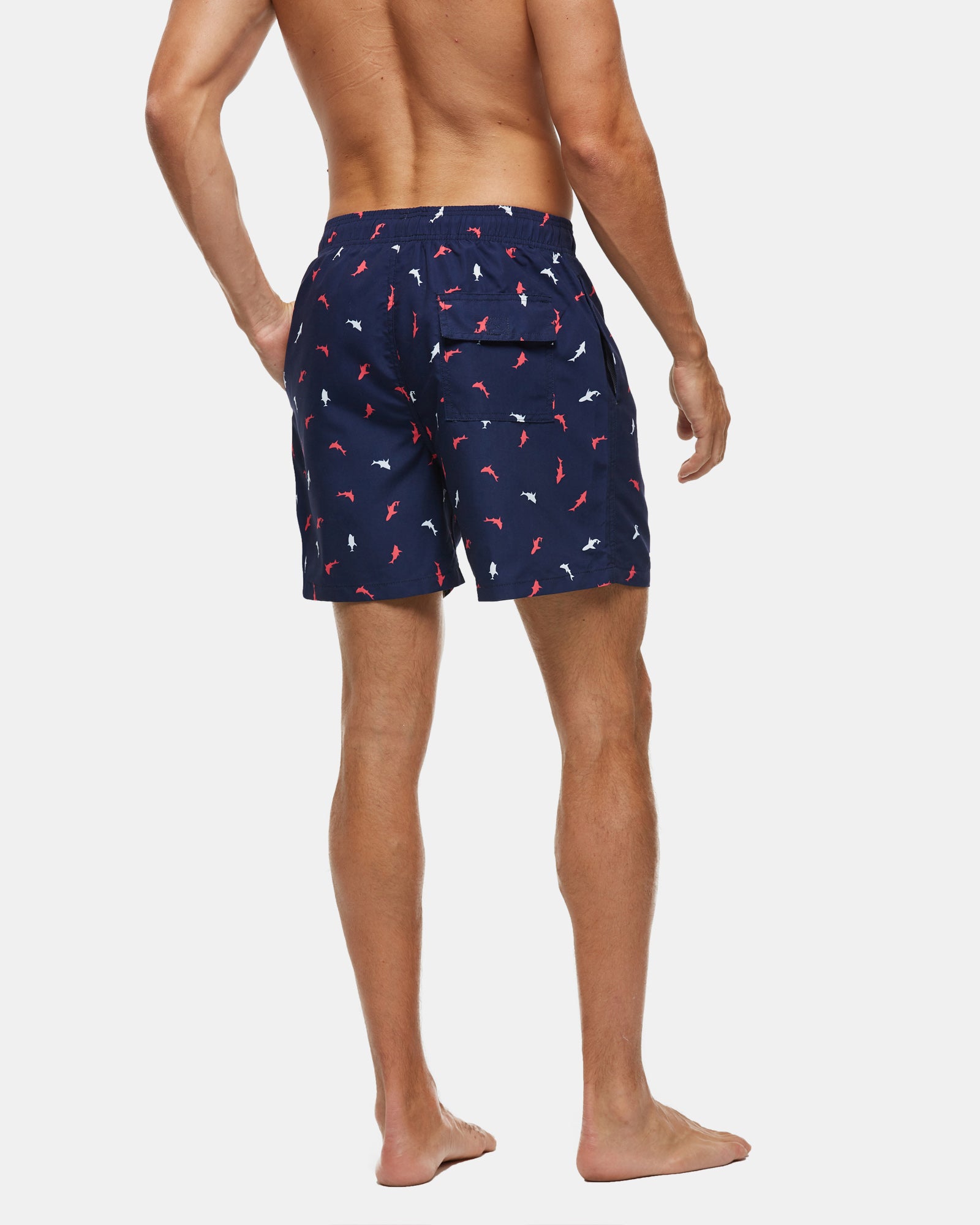 Duo Shark Swim Short